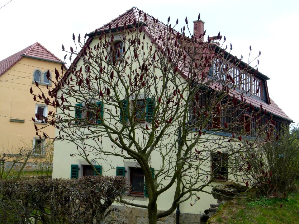 Zum Malerweg 11 Liebethal Pirna 2