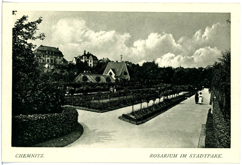 18046-Chemnitz-1914-Rosarium im Stadtpark-Brück & Sohn Kunstverlag