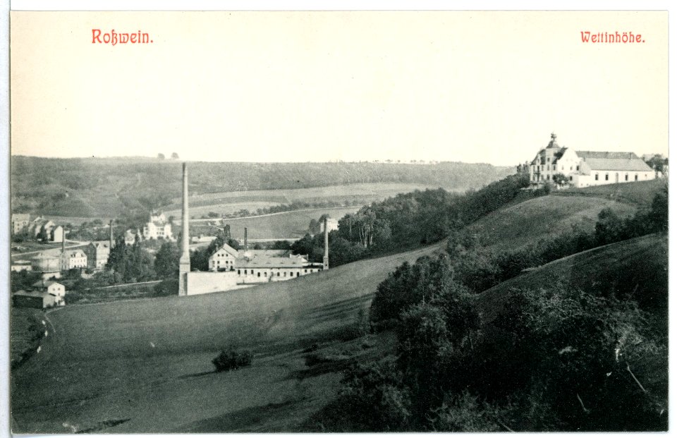 11673-Roßwein-1910-Blick auf Roßwein und Wettinhöhe-Brück & Sohn Kunstverlag