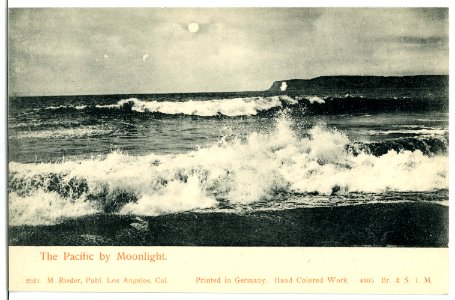 04905-Kalifornien-1903-The Pacific by Moonlight-Brück & Sohn Kunstverlag