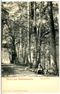 05374-Schmannewitz-1904-Moosbänke-Brück & Sohn Kunstverlag