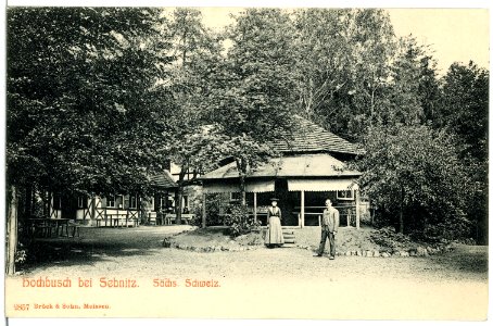 02857-Sebnitz-1903-Hochbusch bei Sebnitz-Brück & Sohn Kunstverlag