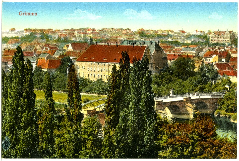 19703-Grimma-1915-Blick auf Grimma-Brück & Sohn Kunstverlag