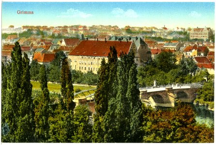 19703-Grimma-1915-Blick auf Grimma-Brück & Sohn Kunstverlag