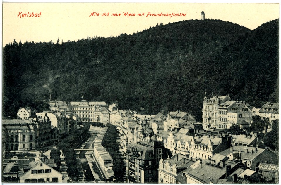 18029-Karlsbad-1914-Alte und neue Wiese mit Freundschaftshöhe-Brück & Sohn Kunstverlag