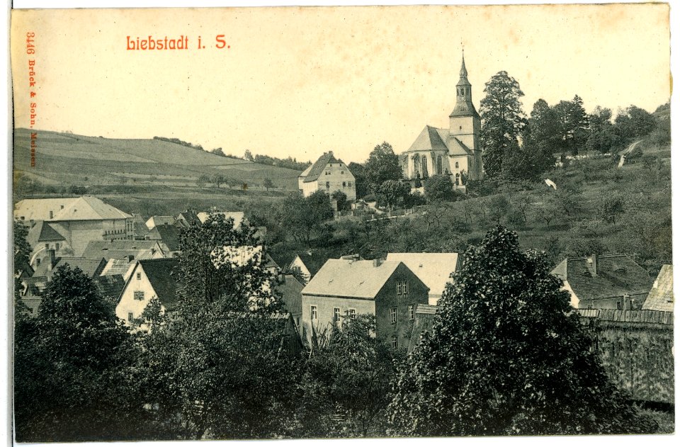 03446-Liebstadt-1903-Stadtansicht-Brück & Sohn Kunstverlag