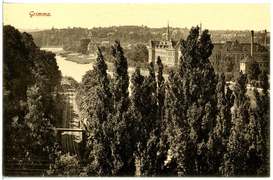 19368-Grimma-1915-Blick auf Grimma-Brück & Sohn Kunstverlag