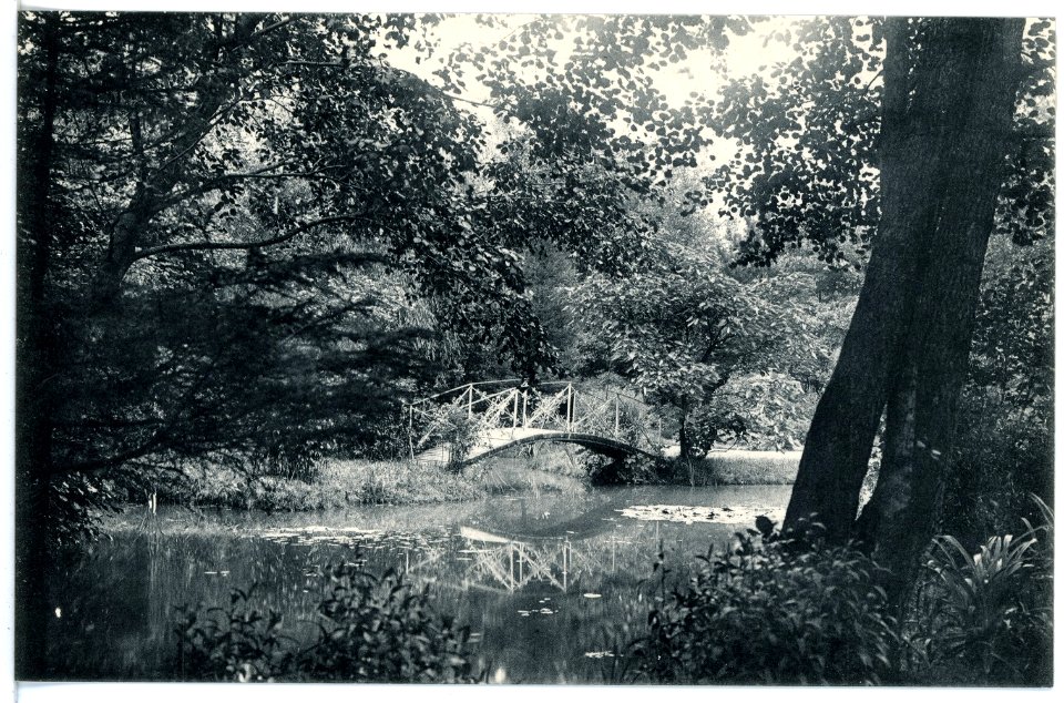 16350-Borna-1913-Partie in den städtischen Anlagen-Brück & Sohn Kunstverlag