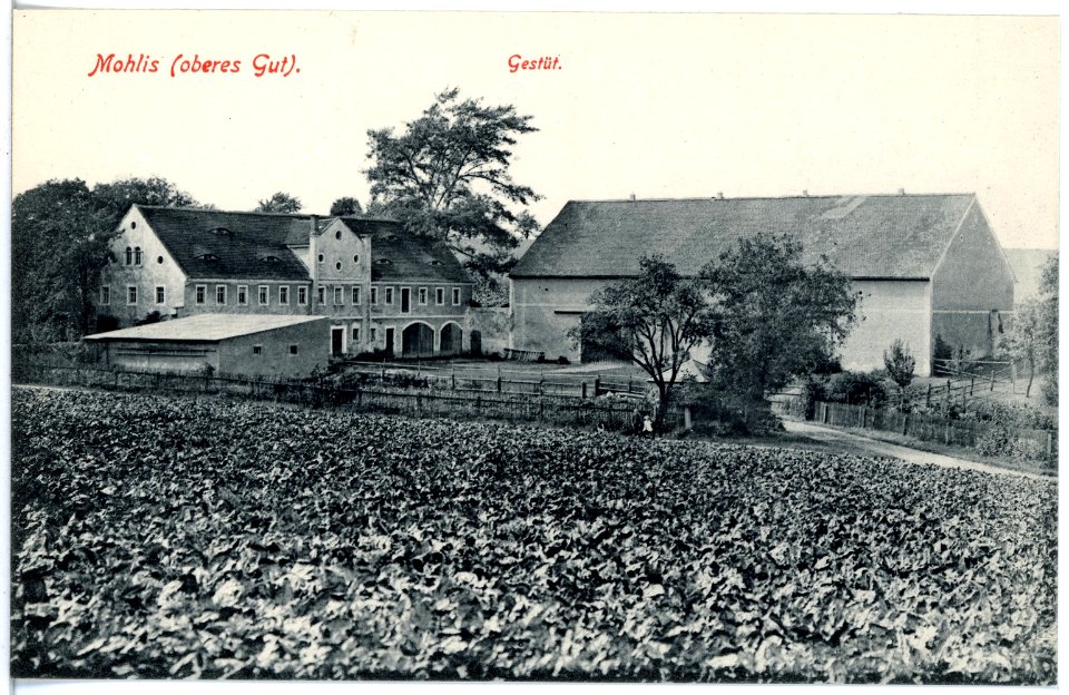 19476-Mohlis-1915-oberes Gut-Brück & Sohn Kunstverlag