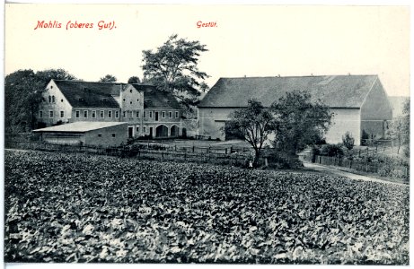 19476-Mohlis-1915-oberes Gut-Brück & Sohn Kunstverlag