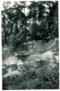 14779-Hartha-1912-Gesteinsbildung am Harthaberg-Brück & Sohn Kunstverlag
