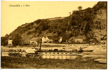 18954-Seußlitz-1915-Elbe mit Dampfer Wettin-Brück & Sohn Kunstverlag