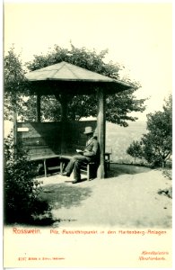 04197-Roßwein-1903-Pilz-Aussichtspunkt in der Hartenberg-Anlagen-Brück & Sohn Kunstverlag