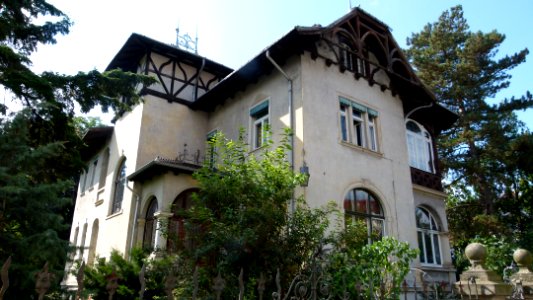Villa Wolfshügelstraße 12 in Loschwitz 1