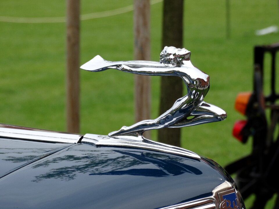 Car logo the elegance