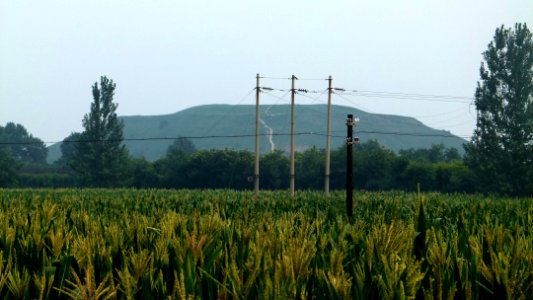 Weiling-1