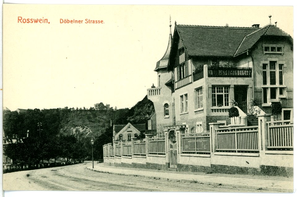 10110-Roßwein-1908-Döbelner Straße-Brück & Sohn Kunstverlag