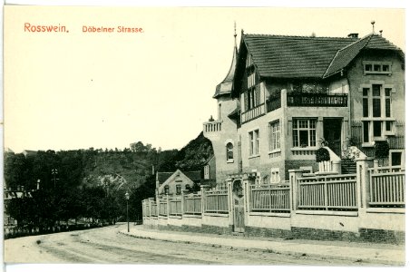 10110-Roßwein-1908-Döbelner Straße-Brück & Sohn Kunstverlag