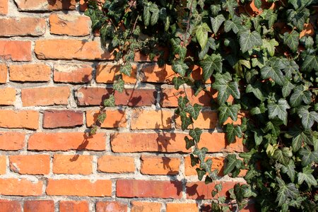 Brick model stone