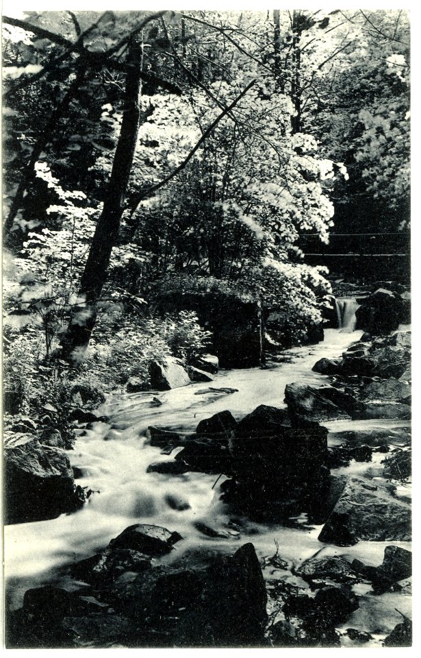 12270-Rochsburg-1910-Im Brausetal-Brück & Sohn Kunstverlag