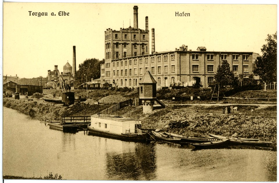 18252-Torgau-1914-Hafen-Brück & Sohn Kunstverlag