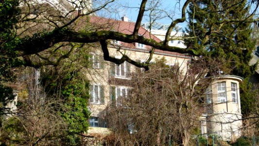 Weinleite 6 Loschwitz 1