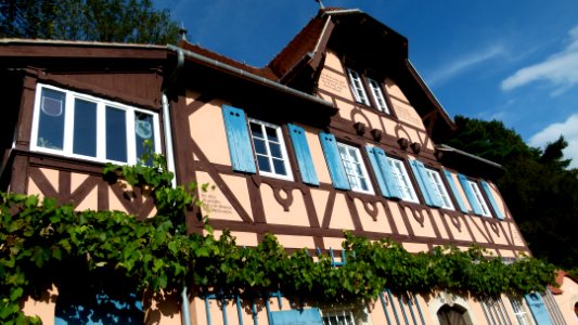 Winzerhaus Körnerweg 8 in Loschwitz 5