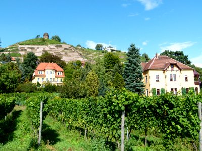 Hoflößnitzstraße 56-41 Radebeul 2