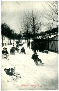 11585-Meißen-1910-Rodelbahn-Brück & Sohn Kunstverlag