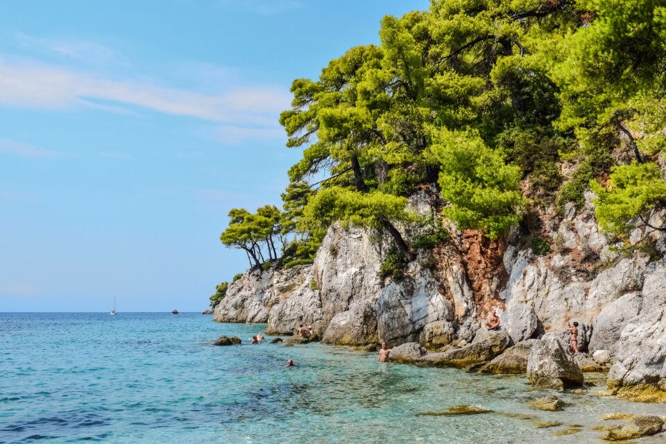 Cliff trees rock photo