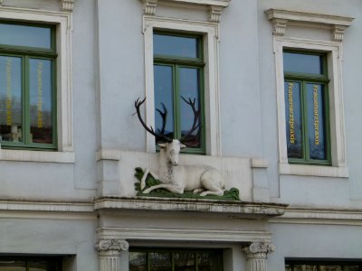 Bautzner Landstraße 6a Weisser Hirsch 2