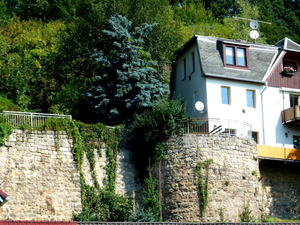 Südmauer Burg Wehlen