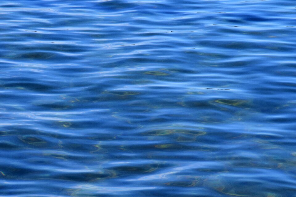 Nature gopher water