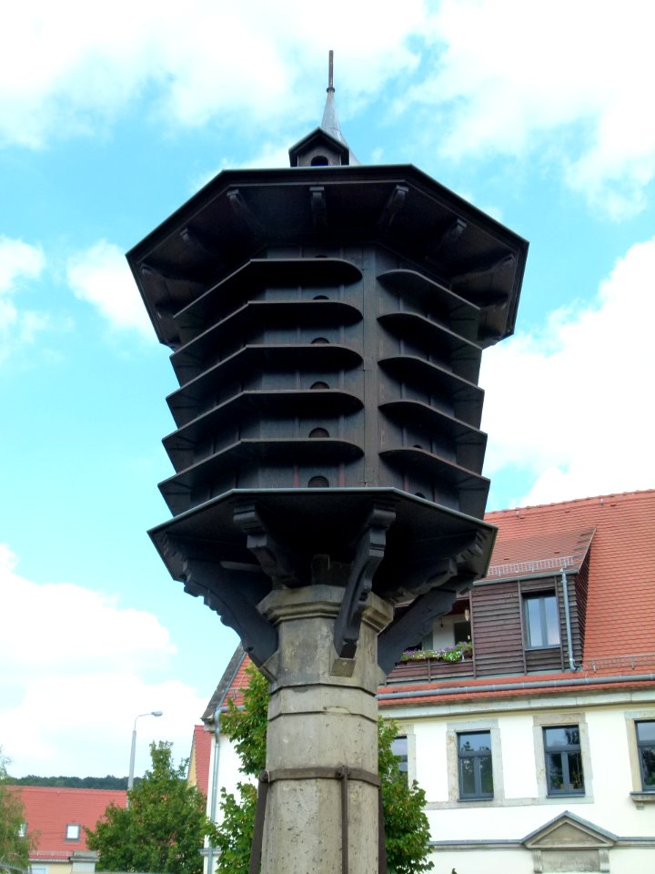 Alttolkewitz 22 Dresden 5