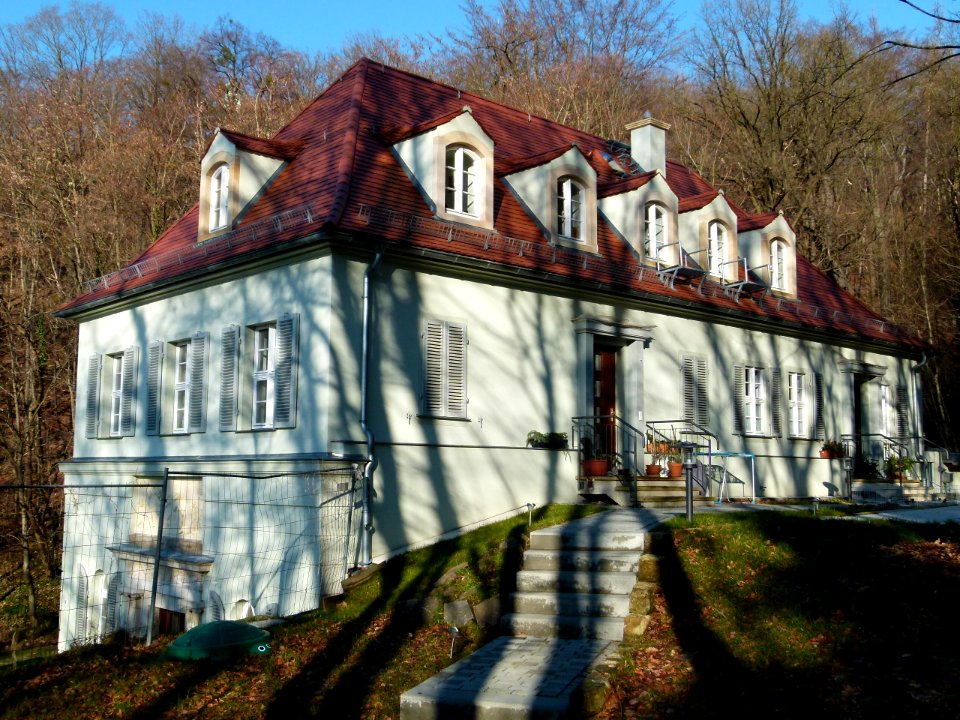 Wachwitzer Weinberg 2 Wachwitz 3