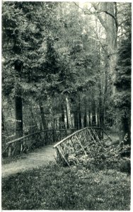 20486-Großschweidnitz-1917-Park-Brück & Sohn Kunstverlag