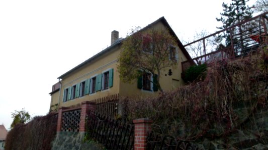Wachwitzgrund 7 Wachwitz