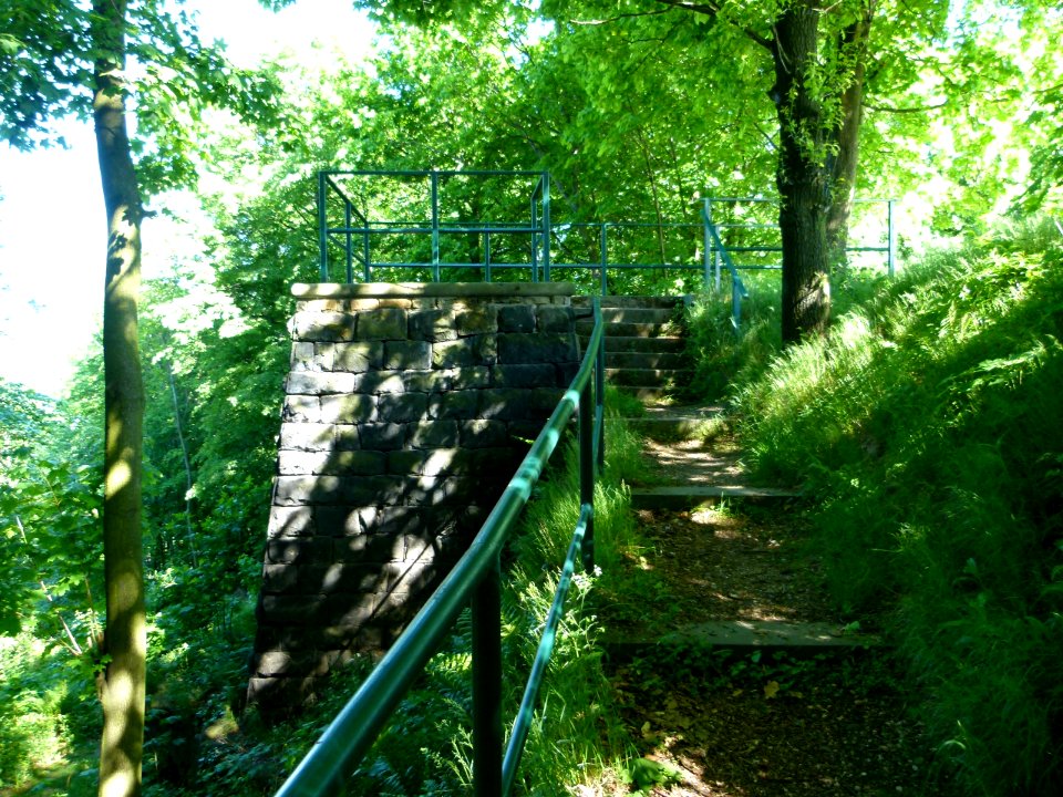 Wettinhöhe Pirna 2