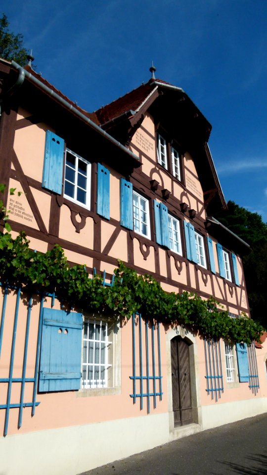 Winzerhaus Körnerweg 8 in Loschwitz 4
