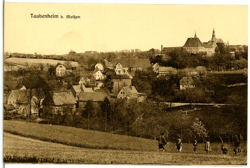 06208-Taubenheim (Klipphausen)-1905-Blick auf Taubenheim-Brück & Sohn Kunstverlag