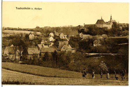 06208-Taubenheim (Klipphausen)-1905-Blick auf Taubenheim-Brück & Sohn Kunstverlag