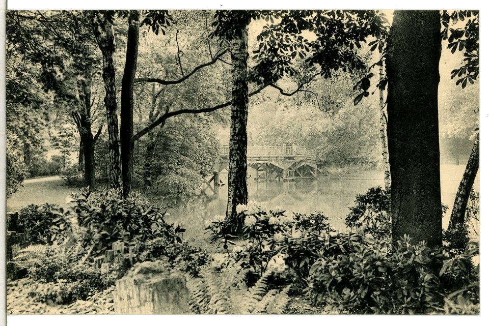 13431-Chemnitz-1911-Partie am Schloßteich-Brück & Sohn Kunstverlag