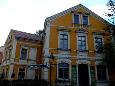 Mietshaus Friedrich-Wieck-Straße 20 in Loschwitz