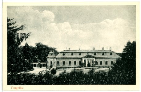 09611-Tengelicz-1908--Brück & Sohn Kunstverlag