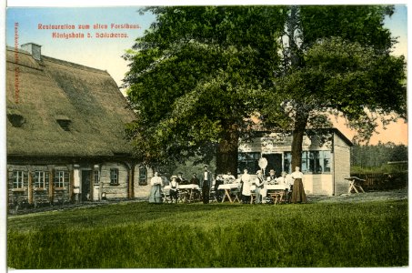 10851-Königshain-1909-Restauration zum Alten Forsthaus-Brück & Sohn Kunstverlag