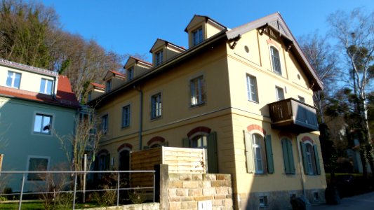 Wachwitzer Weinberg 5 Wachwitz 2