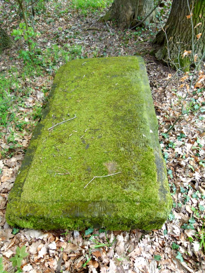 Pestplatte Jessen-Pirna 1