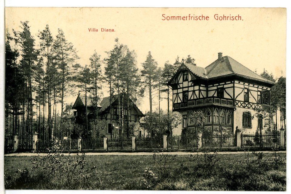 08651-Gohrisch-1907-Villa Diana-Brück & Sohn Kunstverlag