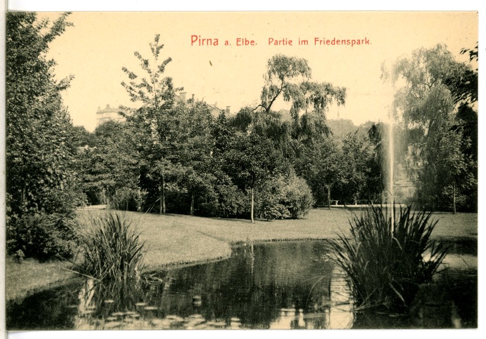 12876-Pirna-1911-Partie im Friedenspark-Brück & Sohn Kunstverlag