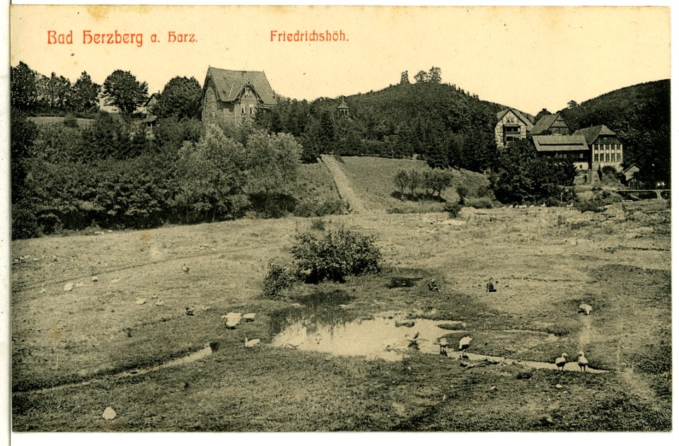 09187-Bad Herzberg-1907-Friedrichshöh-Brück & Sohn Kunstverlag